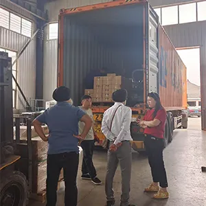 Clientes que visitan nuestra fábrica